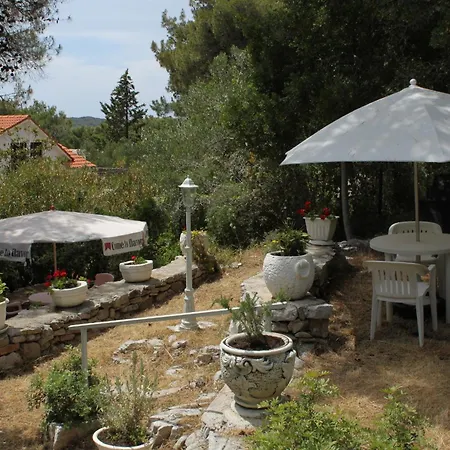 Konukevi Double 7953b